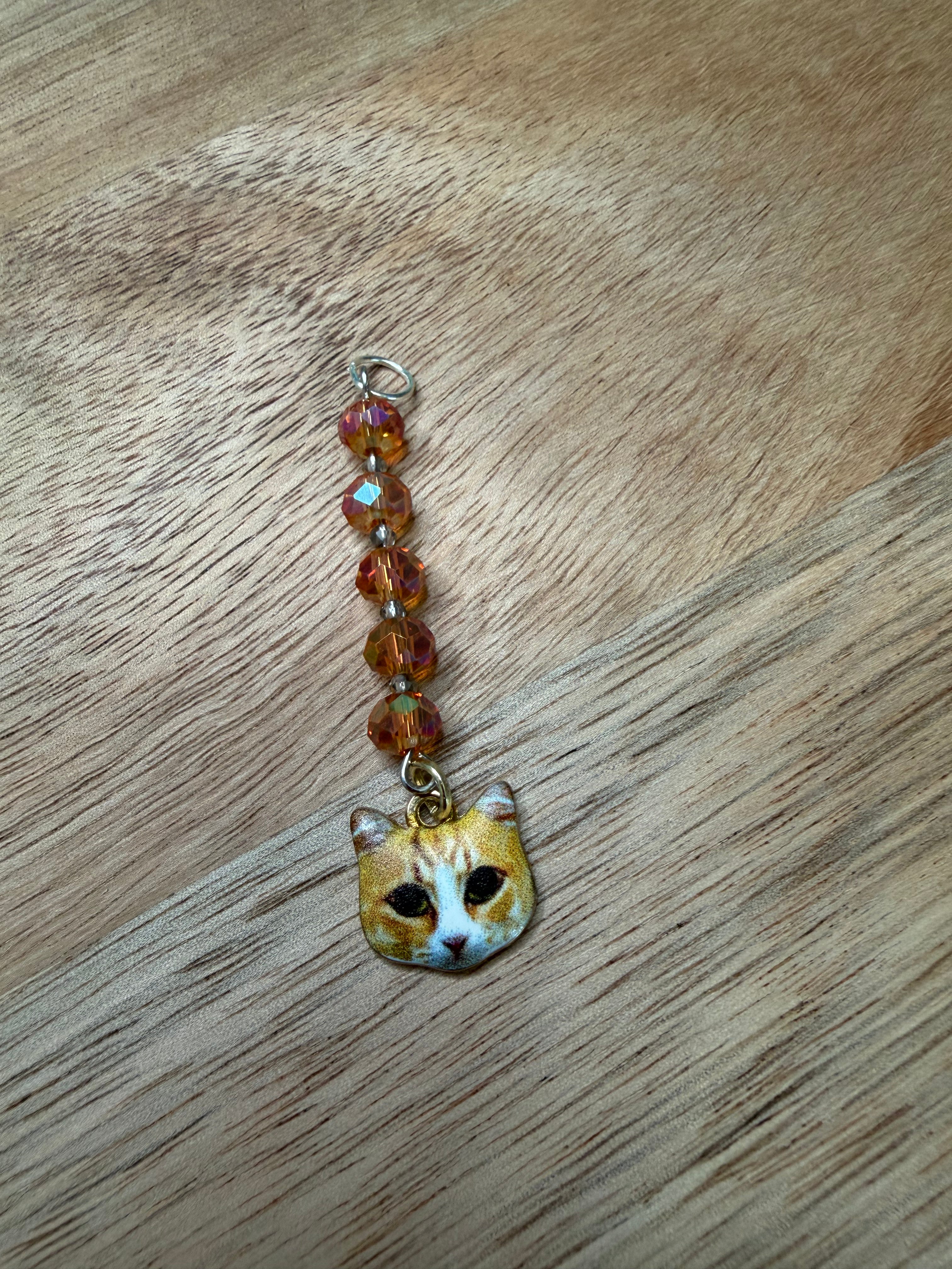 Orange Cat